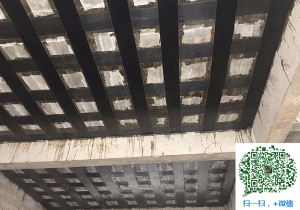 鱼台厂房碳纤维加固